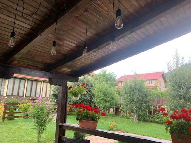 Vila Rolizo Brassó Kültér fotó