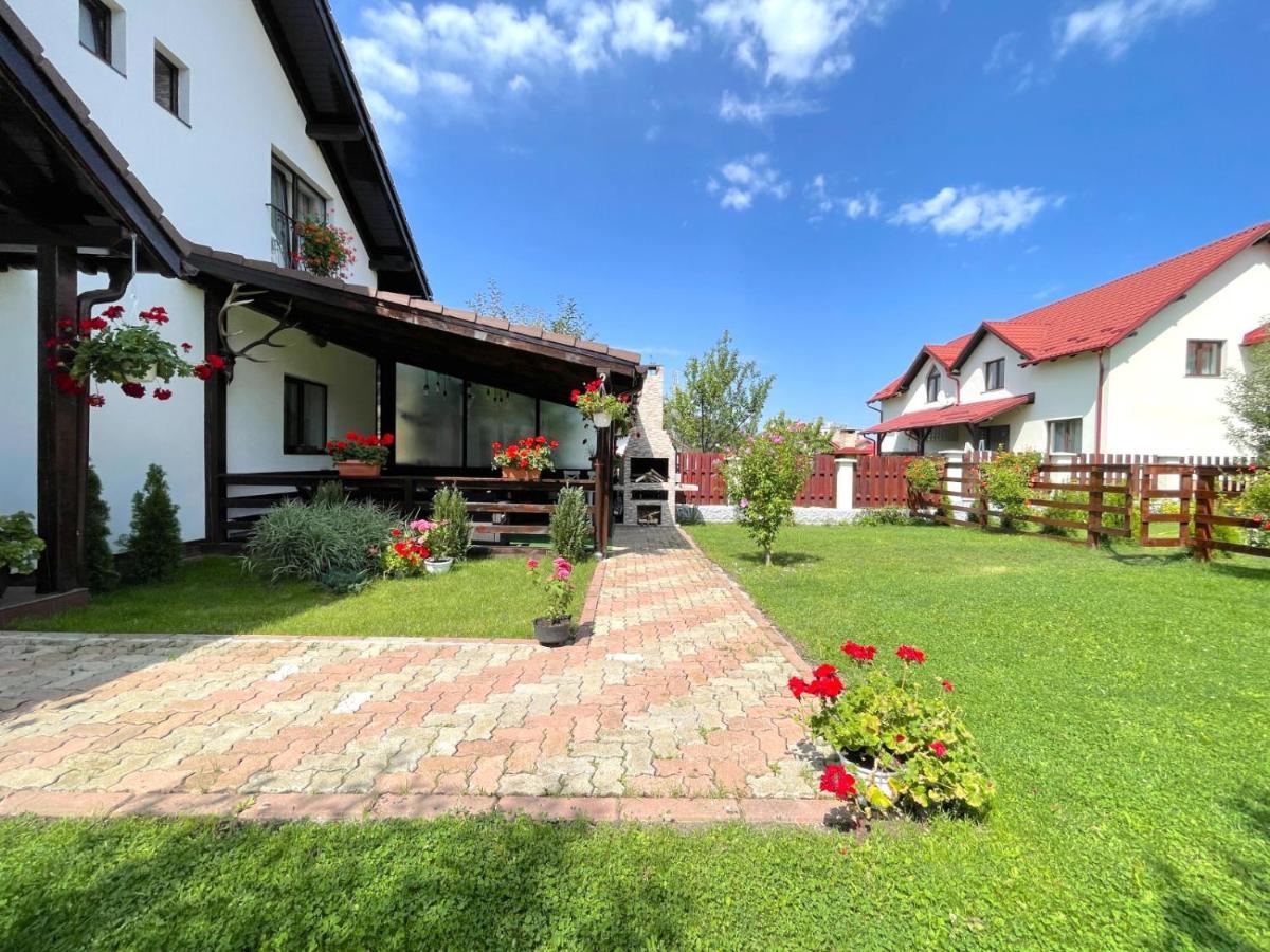 Vila Rolizo Brassó Kültér fotó